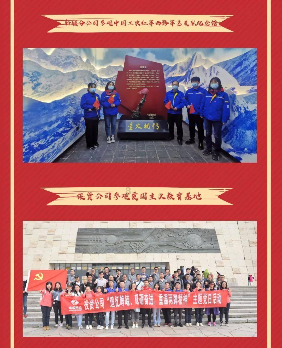 破碎的动物图形